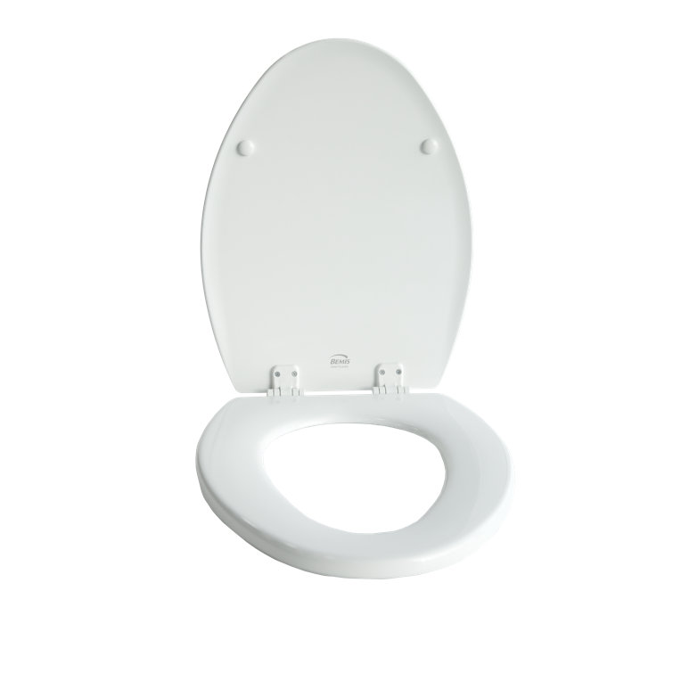 House & Homebody Co. Elongated Toilet Seat and Lid Wayfair Canada